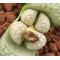 SB1205 - Seed